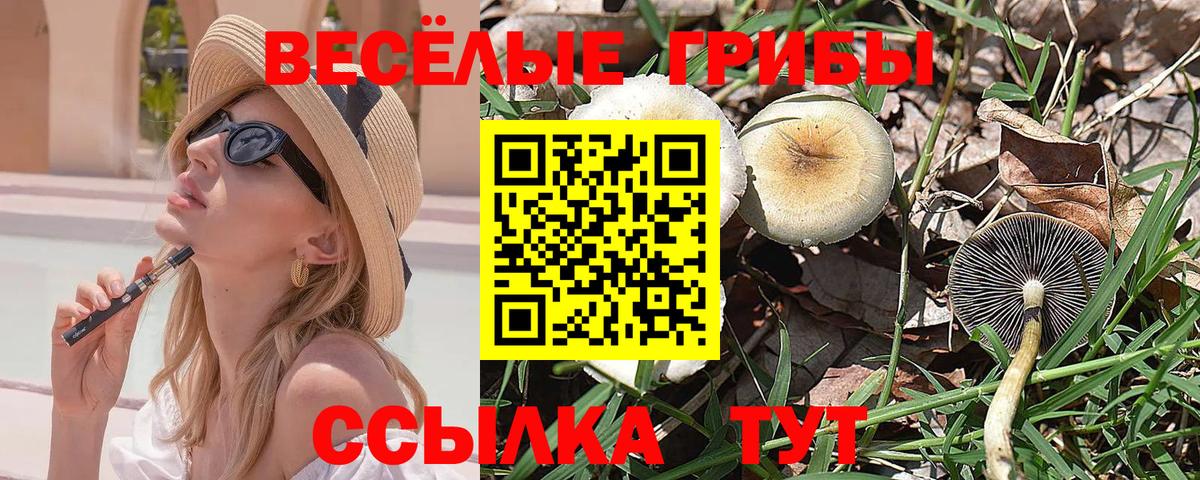 Псилоцибиновые грибы прущие грибы Грязи