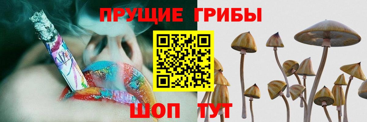 Псилоцибиновые грибы GOLDEN TEACHER  Вход с VPN  Псилоцибиновые грибы мухоморы  магазин    Грязи 